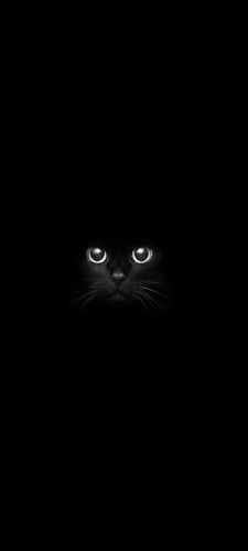 暗闇の中の黒猫のAndroid用のスマホ壁紙