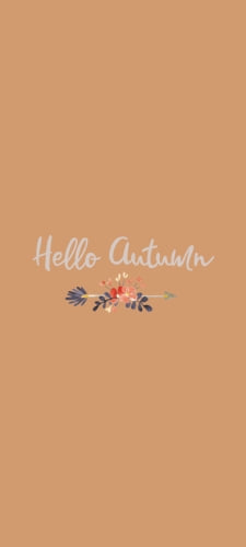 hello autumn 秋のイラストのAndroid用のスマホ壁紙