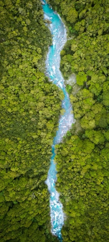 俯瞰視点 ジャングル 木々の流れる川のAndroid用のスマホ壁紙