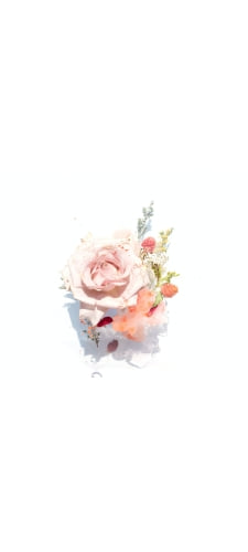 淡いピンクの花・薔薇のAndroid用のスマホ壁紙