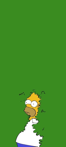 ザ・シンプソンズ / ホーマー・シンプソンのAndroid用のスマホ壁紙