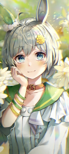 白い花と黄色い蝶と可愛いセイウンスカイ / ウマ娘プリティーダービーのAndroid用のスマホ壁紙