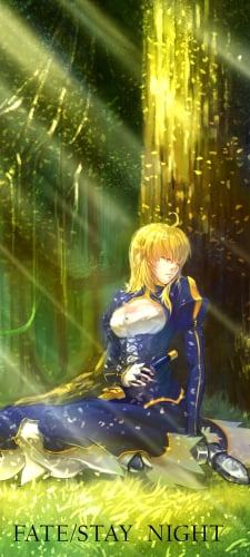 木漏れ日さす大木の下でお昼寝をするセイバー / アルトリア・ペンドラゴン / FateのAndroid用のスマホ壁紙