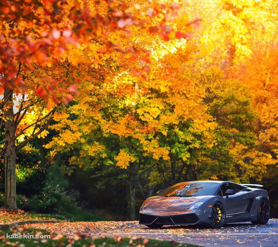 紅葉と車のAndroidの壁紙(960px x 854px) スマホ用
