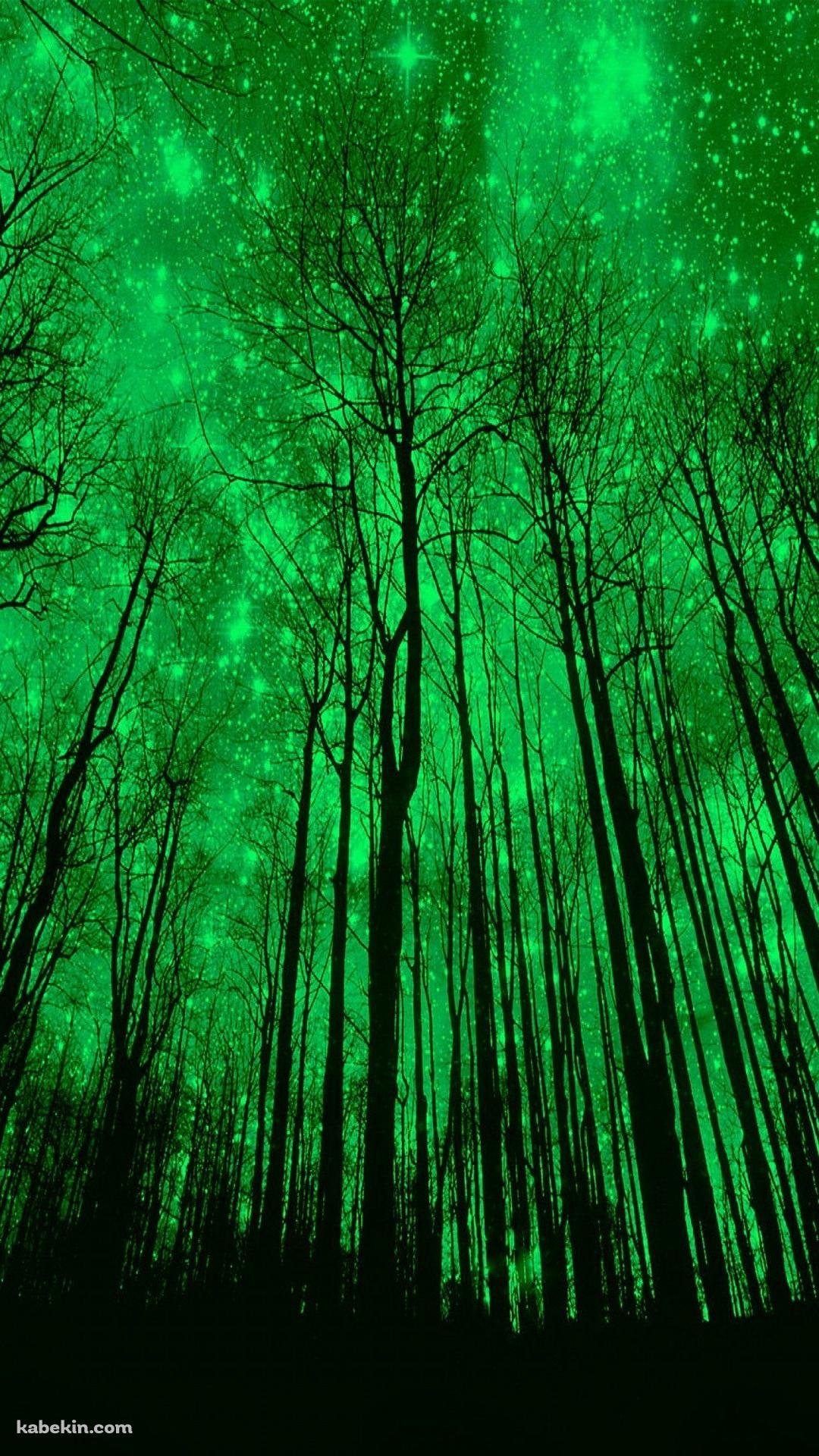 緑の森のandroid壁紙 1080 X 19 壁紙キングダム スマホ版