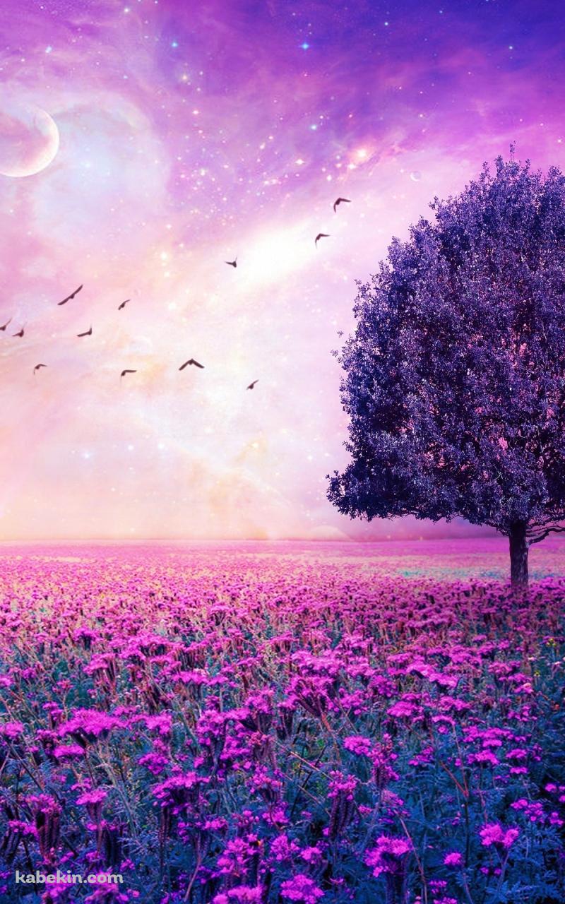 紫の景色のAndroidの壁紙(800px x 1280px) スマホ用