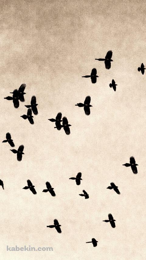 鳥の群れのAndroidの壁紙(480px x 854px) スマホ用