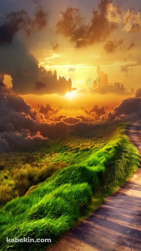 夕暮れ時のあぜ道のAndroidの壁紙(480px x 854px) スマホ用