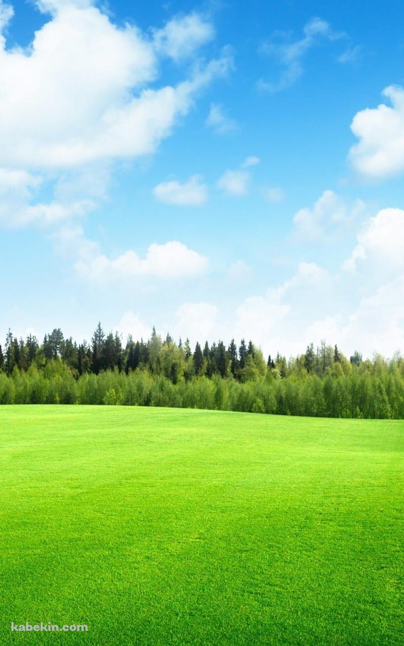 青空と草原のAndroidの壁紙(800px x 1280px) スマホ用