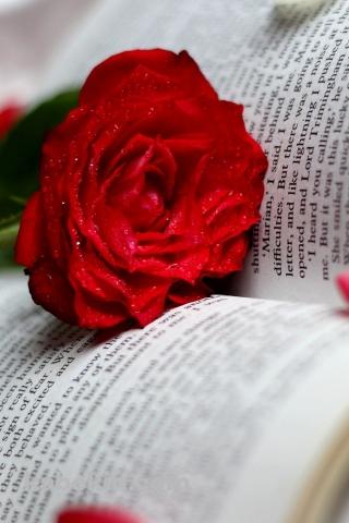 赤い薔薇と本のAndroidの壁紙(320px x 480px) スマホ用