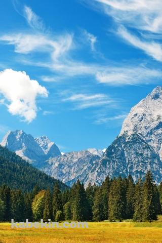 スイスのアルペンのAndroidの壁紙(320px x 480px) スマホ用