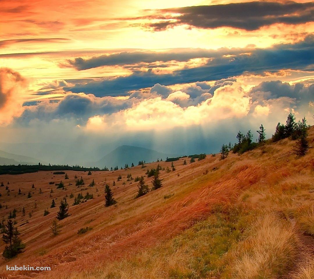 秋 渓谷のAndroidの壁紙(1080px x 960px) スマホ用