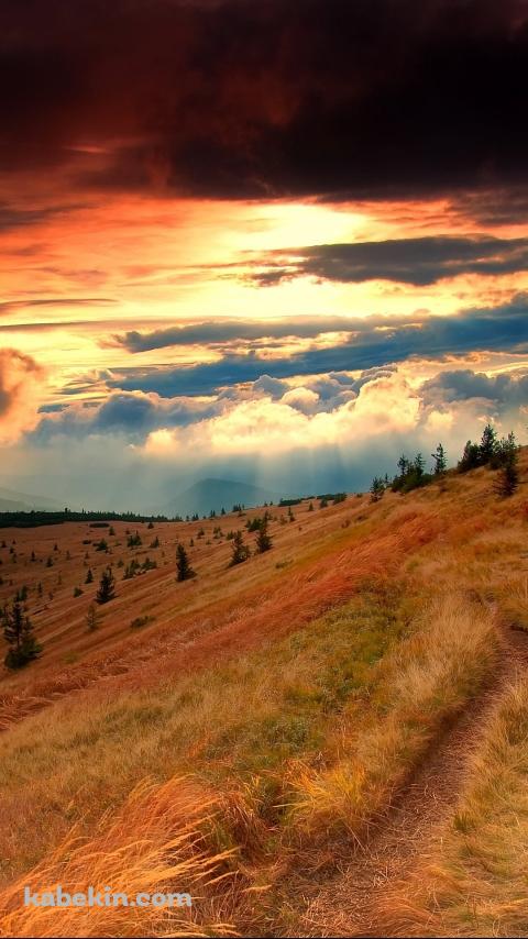 秋 渓谷のAndroidの壁紙(480px x 854px) スマホ用