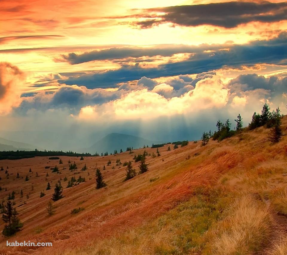 秋 渓谷のAndroidの壁紙(960px x 854px) スマホ用