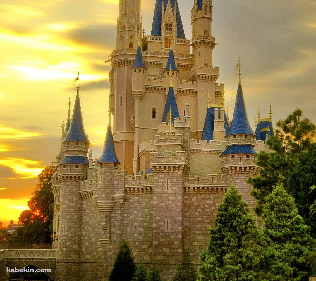 シンデレラ城 夕暮れのAndroidの壁紙(1080px x 960px) スマホ用