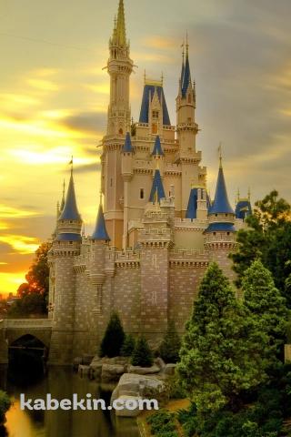 シンデレラ城 夕暮れのAndroidの壁紙(320px x 480px) スマホ用