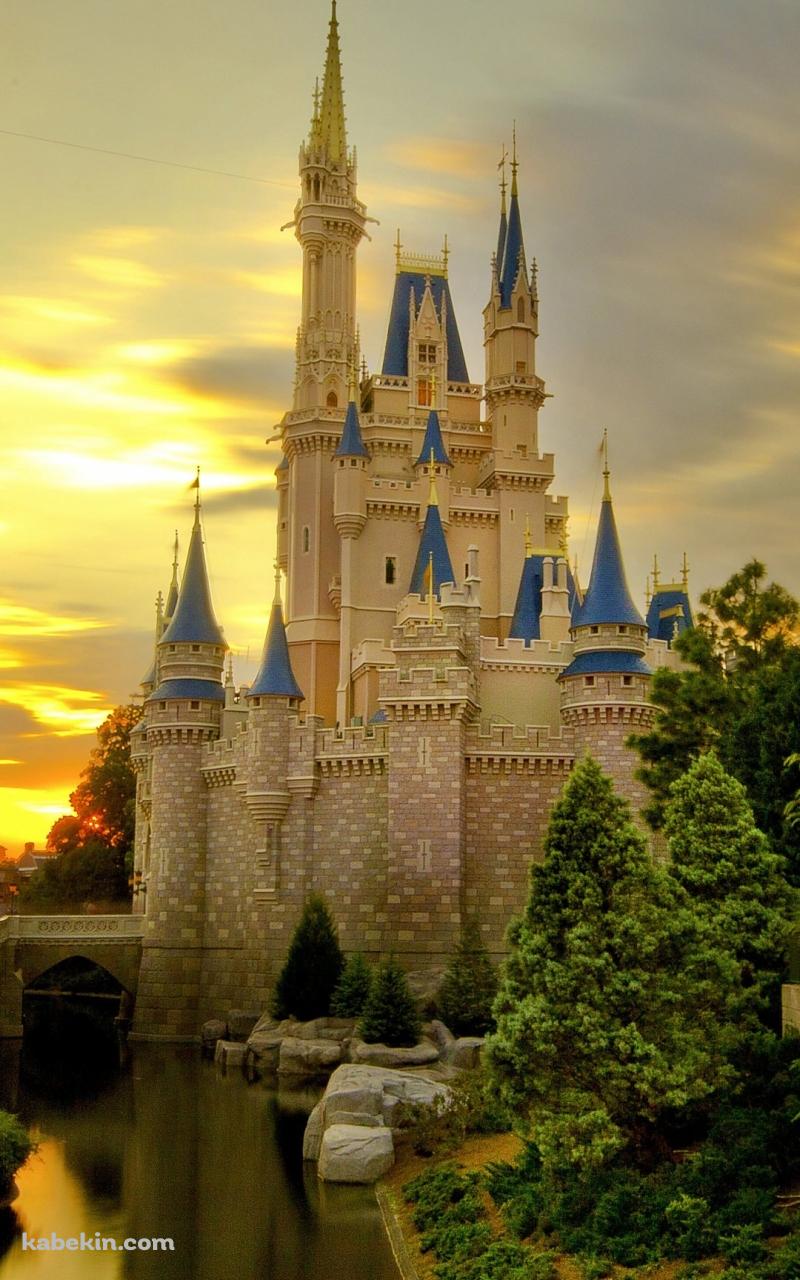 シンデレラ城 夕暮れのAndroidの壁紙(800px x 1280px) スマホ用