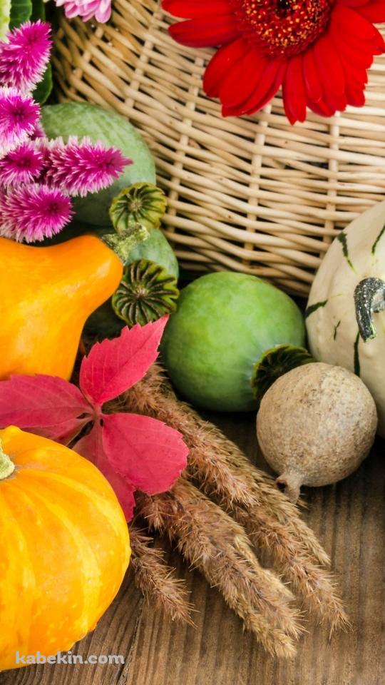 野菜のAndroidの壁紙(540px x 960px) スマホ用