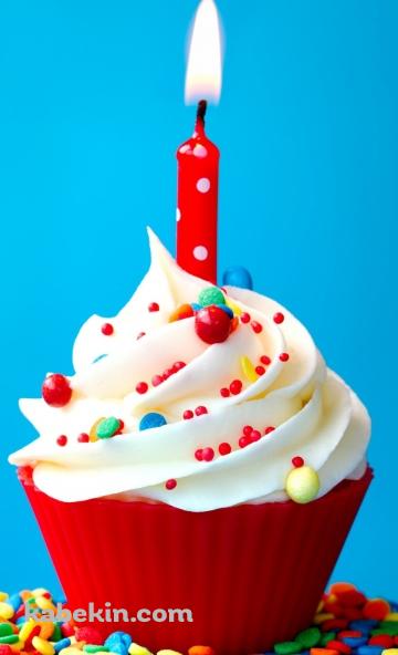 誕生日ケーキのAndroidの壁紙(360px x 592px) スマホ用