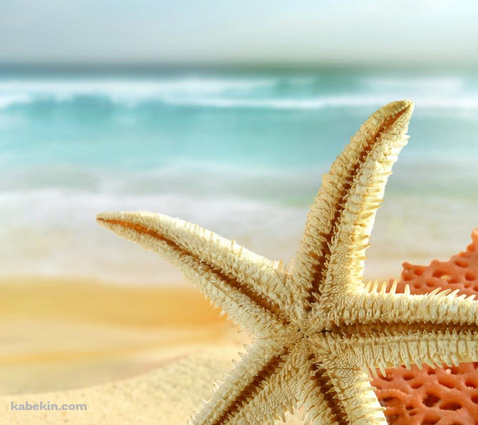 星型のヒトデのAndroidの壁紙(960px x 854px) スマホ用