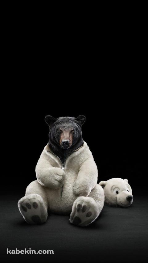 着ぐるみのクマのAndroidの壁紙(480px x 854px) スマホ用