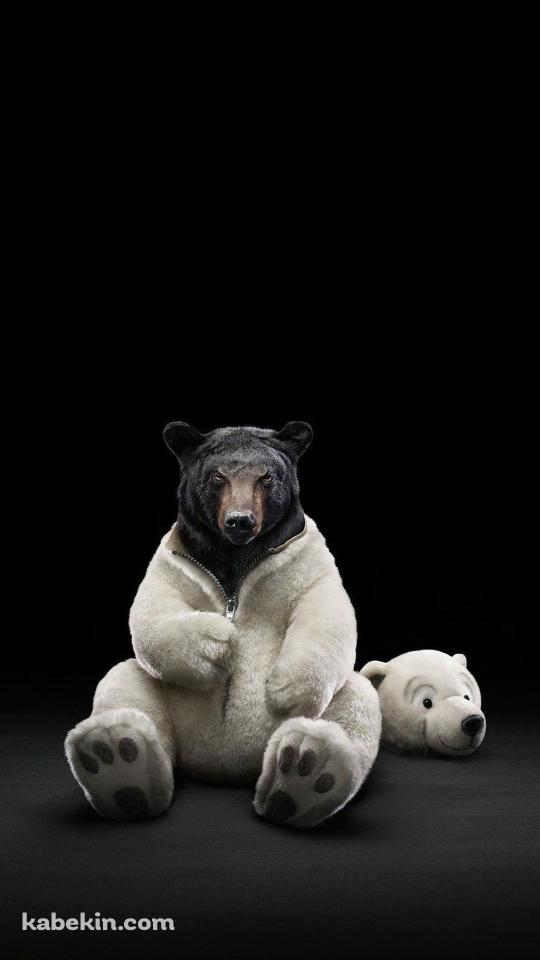 着ぐるみのクマのAndroidの壁紙(540px x 960px) スマホ用