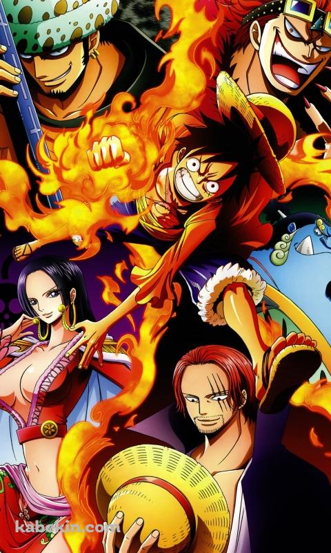ONE PIECEのAndroidの壁紙(480px x 800px) スマホ用