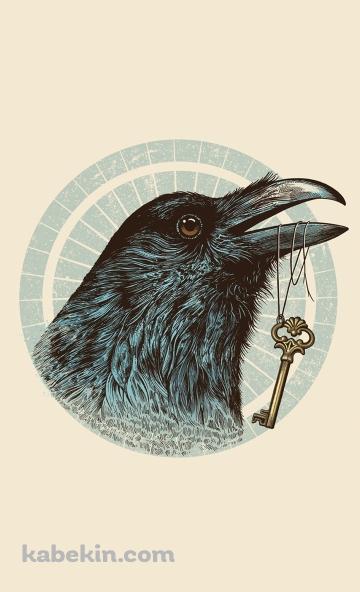 カラスと鍵のAndroidの壁紙(360px x 592px) スマホ用