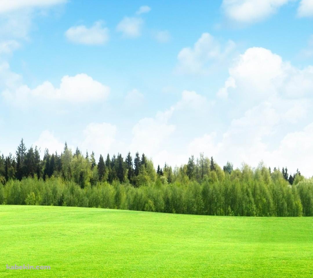 Great FieldsのAndroidの壁紙(1080px x 960px) スマホ用