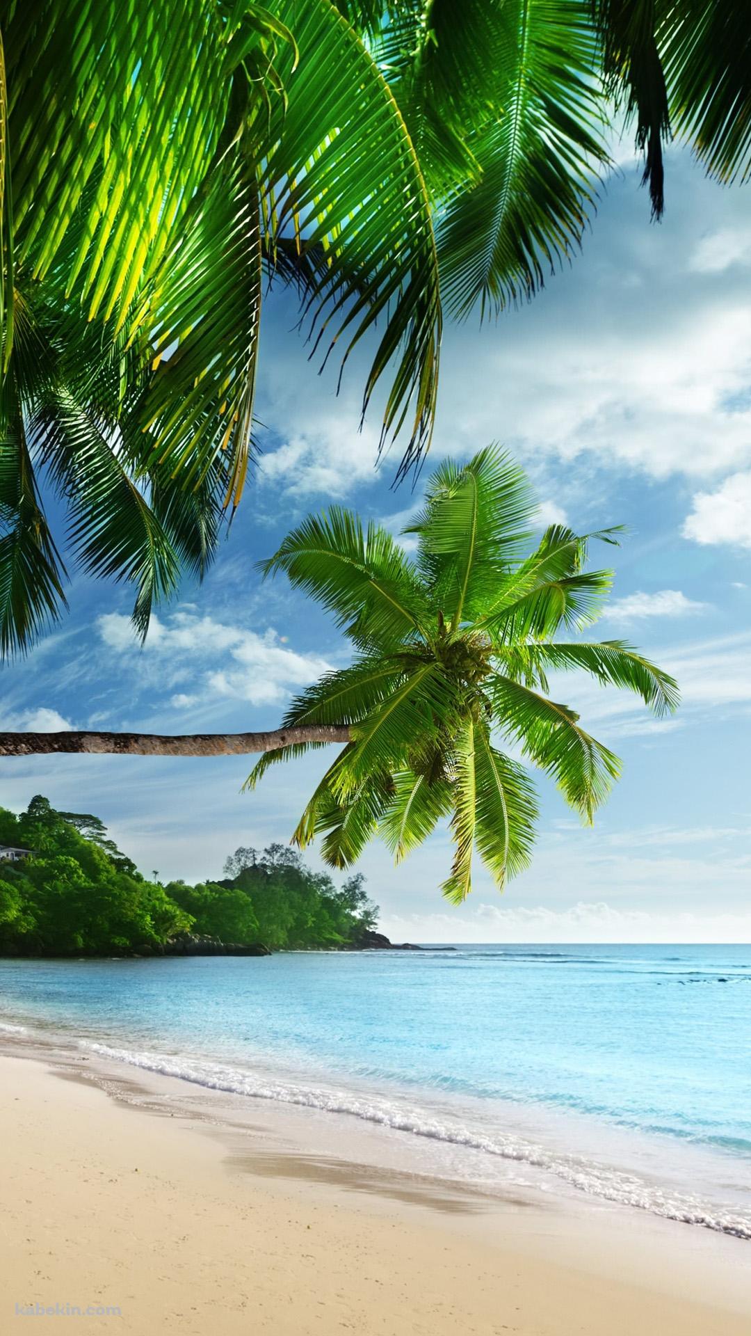 Palm trees BeatchのAndroidの壁紙(1080px x 1920px) スマホ用