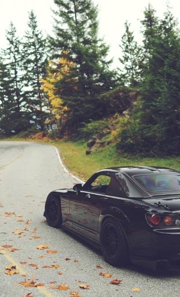 Black Car Autumn leafのAndroidの壁紙(360px x 592px) スマホ用