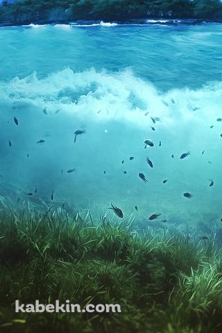 海の中の沢山の魚のAndroidの壁紙(320px x 480px) スマホ用