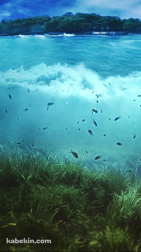 海の中の沢山の魚のAndroidの壁紙(480px x 854px) スマホ用