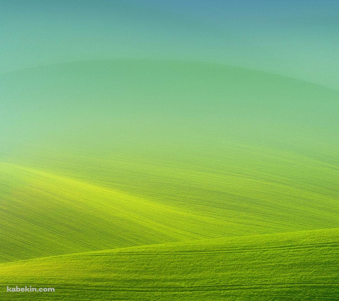 綺麗な緑の丘陵のAndroidの壁紙(1080px x 960px) スマホ用