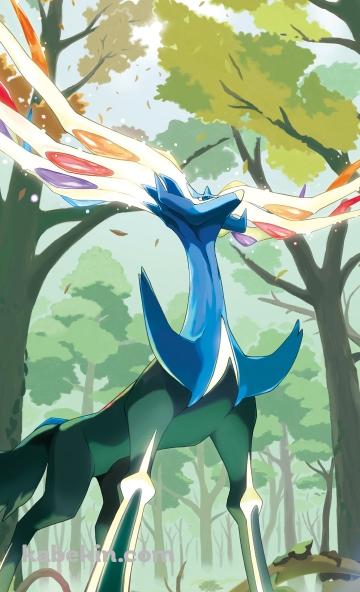 伝説のポケモン ゼルネアスのAndroidの壁紙(360px x 592px) スマホ用