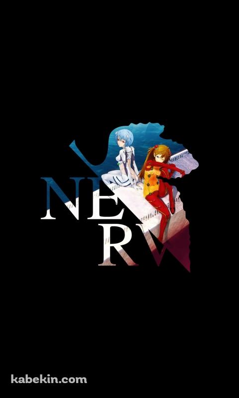 エヴァ 惣流・アスカ・ラングレーと綾波レイ NERV EVAのAndroidの壁紙(480px x 800px) スマホ用