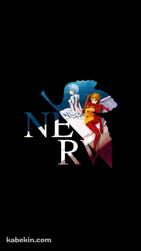 エヴァ 惣流・アスカ・ラングレーと綾波レイ NERV EVAのAndroidの壁紙(480px x 854px) スマホ用