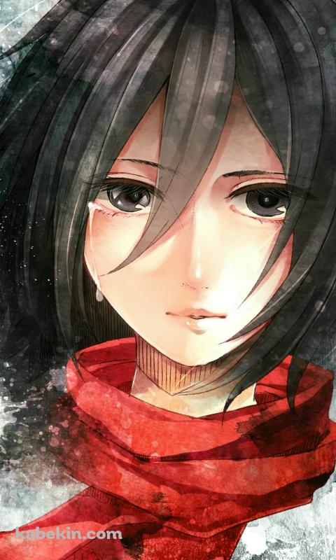 進撃の巨人 ミカサ・アッカーマンの肖像のAndroidの壁紙(480px x 800px) スマホ用