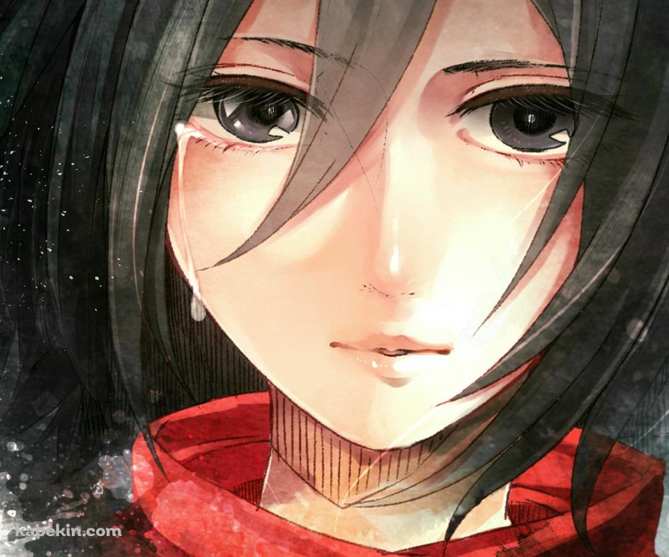 進撃の巨人 ミカサ アッカーマンの肖像のandroid壁紙 960 X 800 壁紙キングダム スマホ版