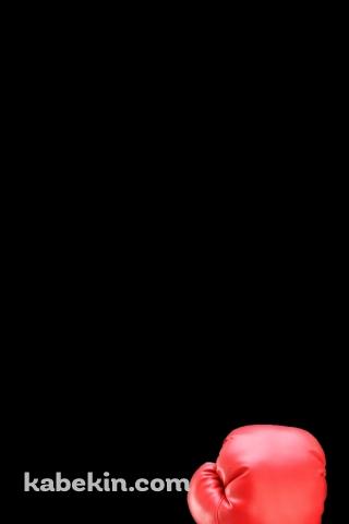 ボクシングのAndroidの壁紙(320px x 480px) スマホ用