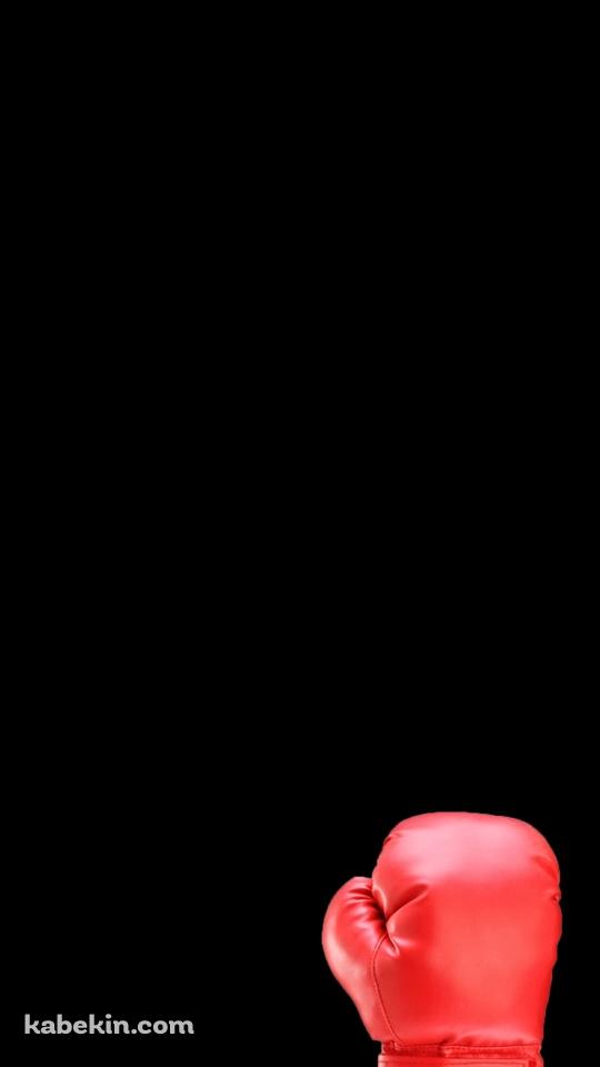 ボクシングのAndroidの壁紙(540px x 960px) スマホ用