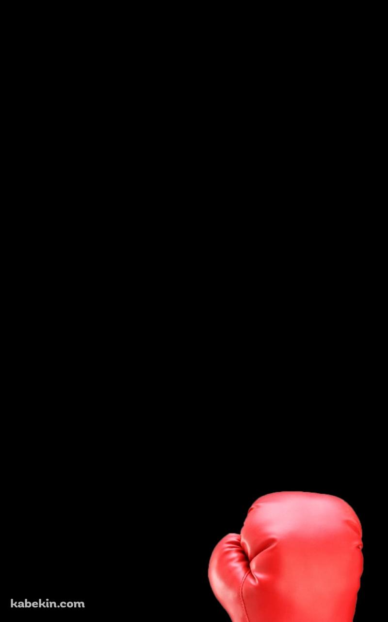 ボクシングのAndroidの壁紙(800px x 1280px) スマホ用