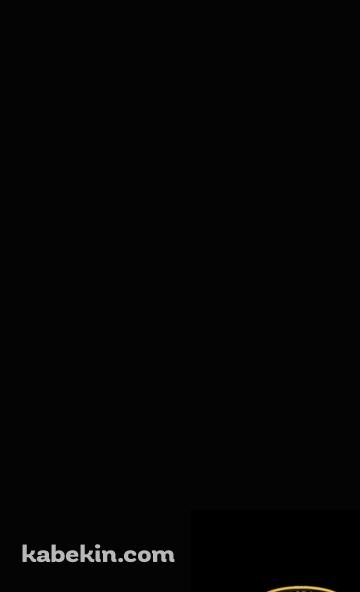 ランボルギーニのロゴ・エンブレムのAndroidの壁紙(360px x 592px) スマホ用