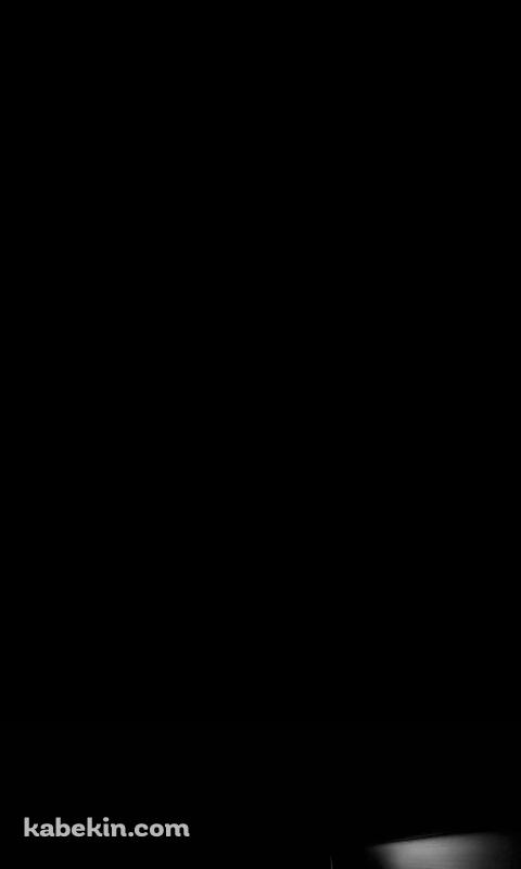 黒いグランドピアノ スタインウェイのAndroidの壁紙(480px x 800px) スマホ用
