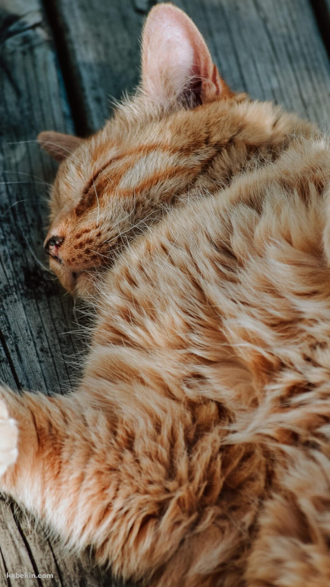 床で寝る茶色い猫のAndroidの壁紙(1080px x 1920px) スマホ用