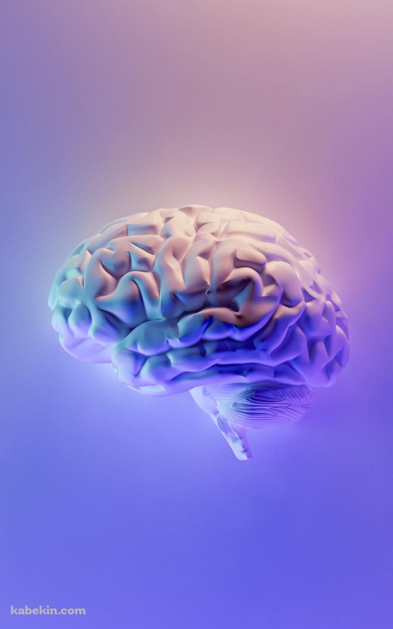 紫の脳みそのAndroidの壁紙(800px x 1280px) スマホ用