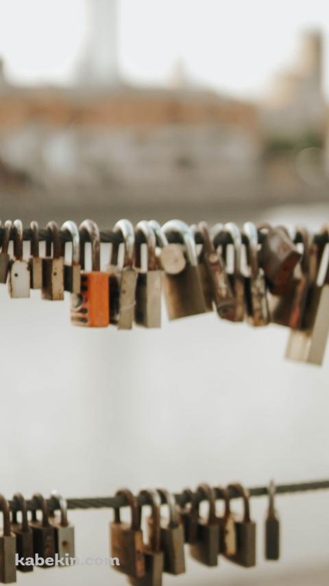 イタリア ローマ ミルヴィオ橋 恋の南京錠のAndroidの壁紙(480px x 854px) スマホ用