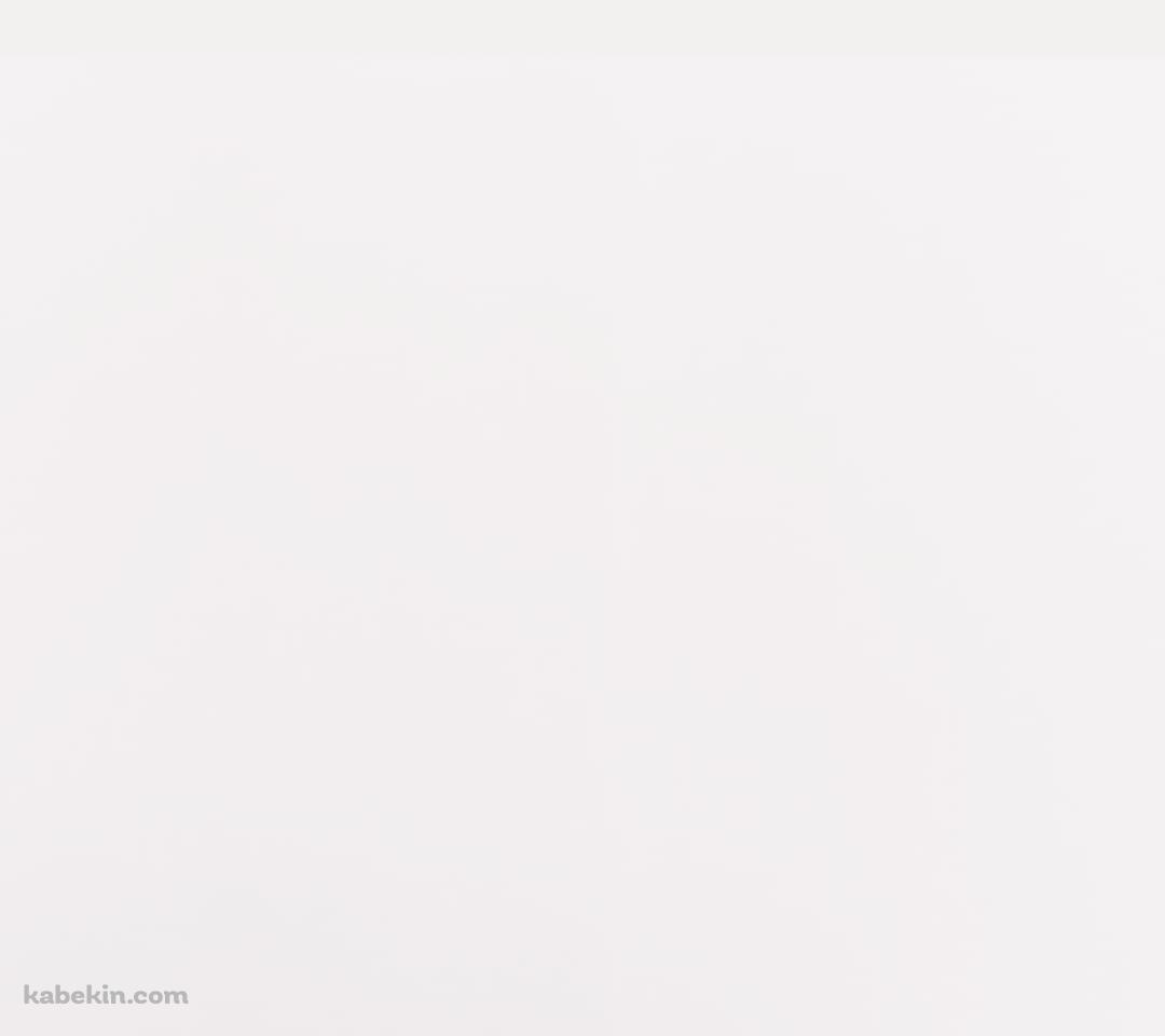 観葉植物のAndroidの壁紙(1080px x 960px) スマホ用