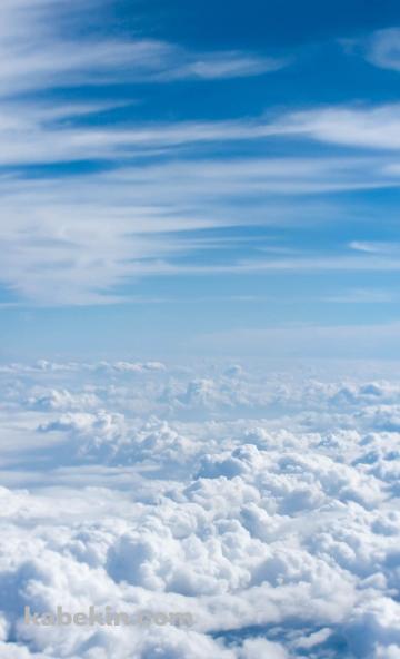 夏の空 雲海のAndroidの壁紙(360px x 592px) スマホ用