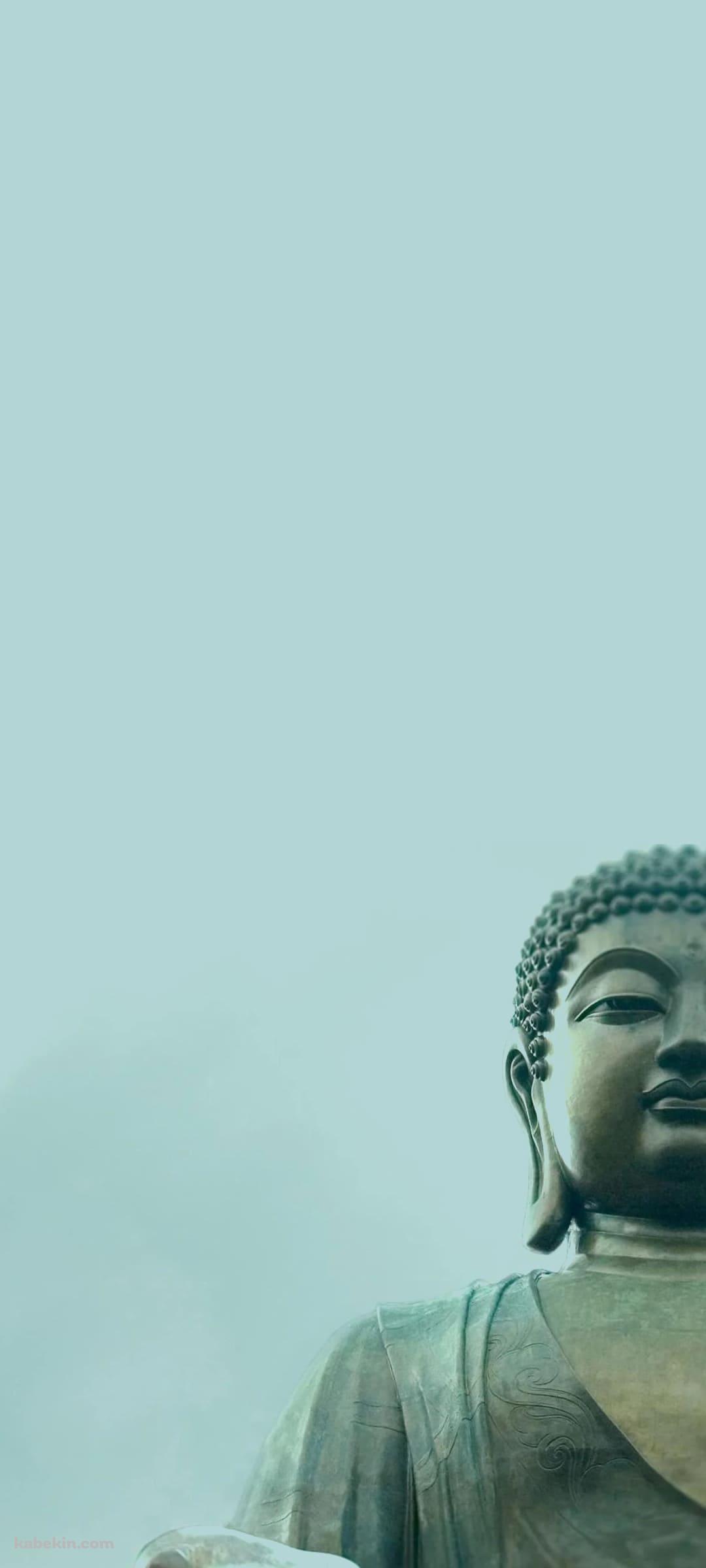 大仏のAndroidの壁紙(1080px x 2400px) スマホ用